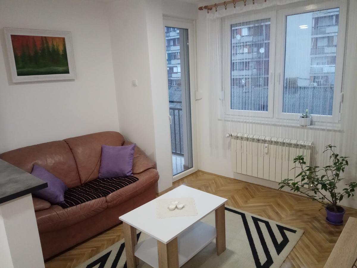 Apartman Ana Subotica Bagian luar foto