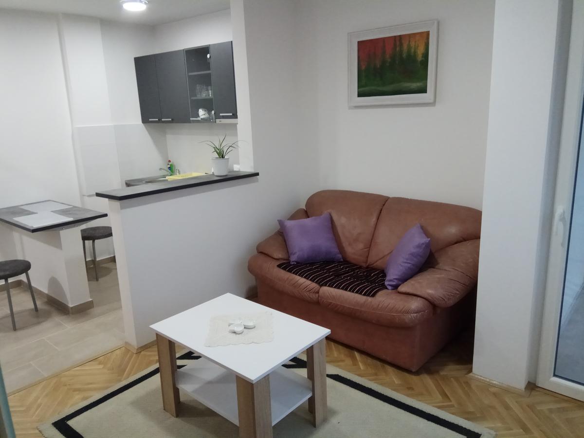 Apartman Ana Subotica Bagian luar foto